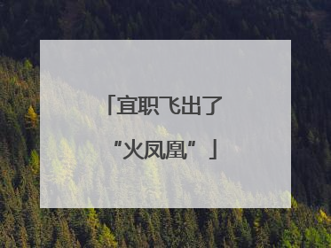 宜职飞出了“火凤凰”