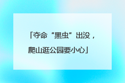 夺命“黑虫”出没，爬山逛公园要小心