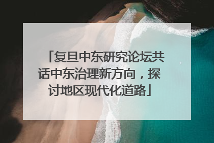 复旦中东研究论坛共话中东治理新方向，探讨地区现代化道路