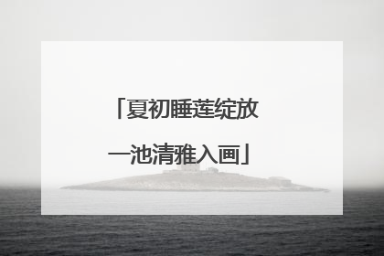 夏初睡莲绽放 一池清雅入画