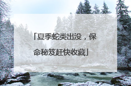 夏季蛇类出没，保命秘笈赶快收藏