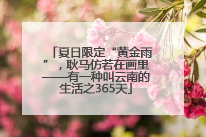 夏日限定“黄金雨”，耿马仿若在画里——有一种叫云南的生活之365天