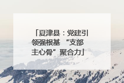 夏津县：党建引领强根基 “支部主心骨”聚合力