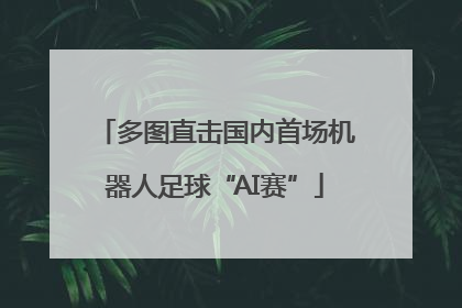 多图直击国内首场机器人足球“AI赛”