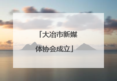 大冶市新媒体协会成立