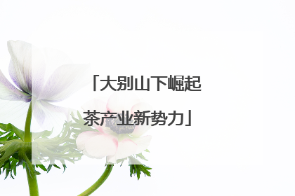 大别山下崛起茶产业新势力