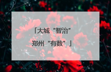 大城“智治” 郑州“有数”