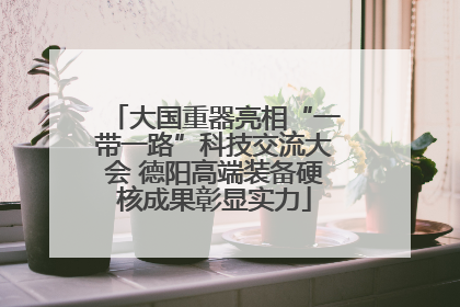 大国重器亮相“一带一路”科技交流大会 德阳高端装备硬核成果彰显实力