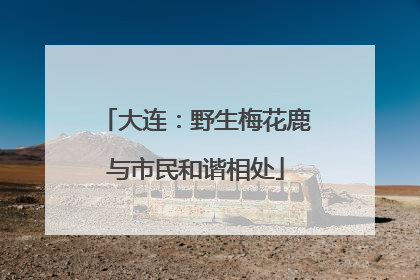 大连：野生梅花鹿与市民和谐相处