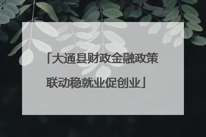 大通县财政金融政策联动稳就业促创业