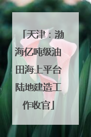 天津：渤海亿吨级油田海上平台陆地建造工作收官