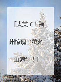 太美了！福州惊现“萤火虫海”！