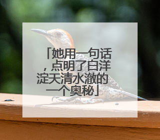 她用一句话，点明了白洋淀天清水澈的一个奥秘