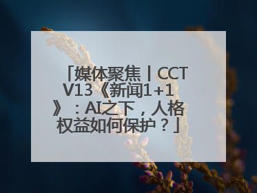 媒体聚焦丨CCTV13《新闻1+1》：AI之下，人格权益如何保护？