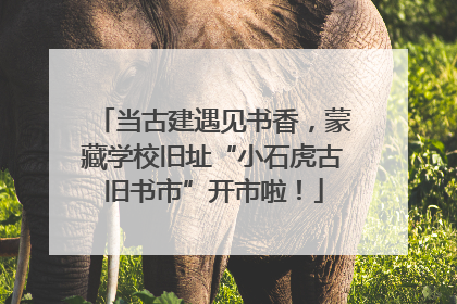 当古建遇见书香，蒙藏学校旧址“小石虎古旧书市”开市啦！