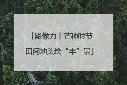 影像力丨芒种时节 田间地头绘“丰”景