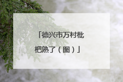 德兴市万村枇杷熟了（图）