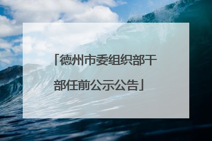德州市委组织部干部任前公示公告