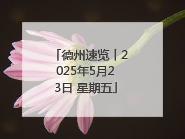 德州速览丨2025年5月23日 星期五
