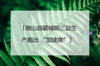 微山县驩城镇三夏生产跑出 “加速度”