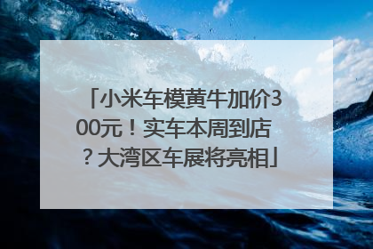 小米车模黄牛加价300元！实车本周到店？大湾区车展将亮相