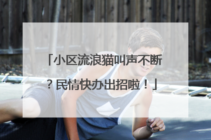 小区流浪猫叫声不断？民情快办出招啦！