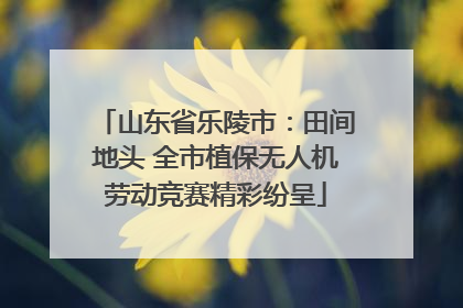 山东省乐陵市：田间地头 全市植保无人机劳动竞赛精彩纷呈