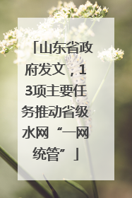 山东省政府发文，13项主要任务推动省级水网“一网统管”