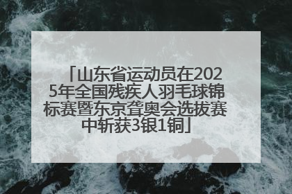 山东省运动员在2025年全国残疾人羽毛球锦标赛暨东京聋奥会选拔赛中斩获3银1铜