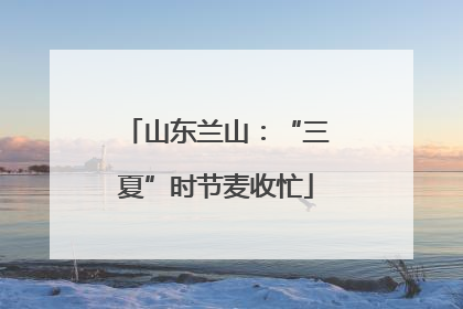 山东兰山：“三夏”时节麦收忙