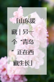 山东援藏｜另一个“青岛”正在西藏生长