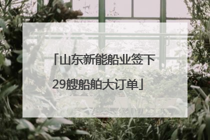 山东新能船业签下29艘船舶大订单