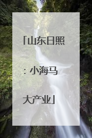 山东日照：小海马 大产业