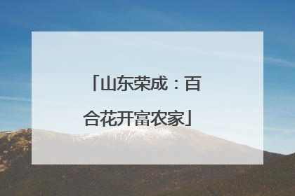 山东荣成：百合花开富农家