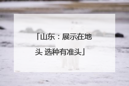 山东：展示在地头 选种有准头