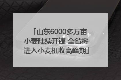 山东6000多万亩小麦陆续开镰 全省将进入小麦机收高峰期
