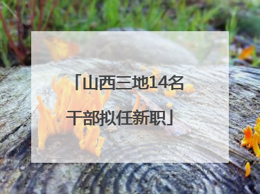 山西三地14名干部拟任新职