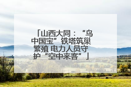 山西大同：“鸟中国宝”铁塔筑巢繁殖 电力人员守护“空中来客”