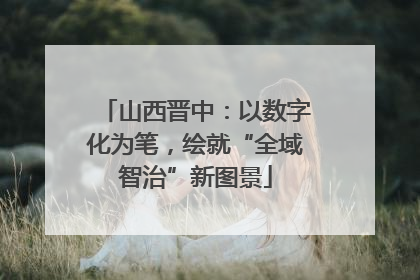 山西晋中：以数字化为笔，绘就“全域智治”新图景