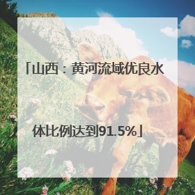 山西：黄河流域优良水体比例达到91.5%