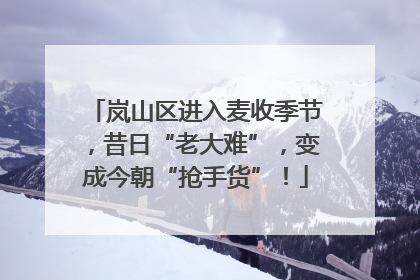 岚山区进入麦收季节，昔日“老大难”，变成今朝“抢手货”！
