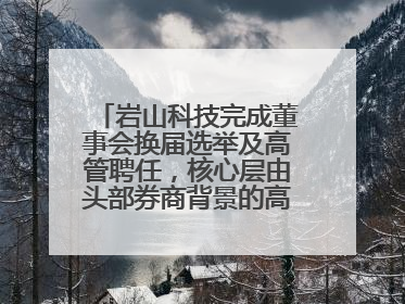 岩山科技完成董事会换届选举及高管聘任，核心层由头部券商背景的高管掌控