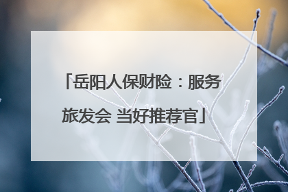 岳阳人保财险：服务旅发会 当好推荐官