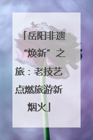 岳阳非遗“焕新”之旅：老技艺点燃旅游新烟火