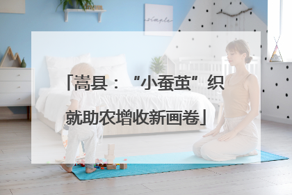 嵩县：“小蚕茧”织就助农增收新画卷