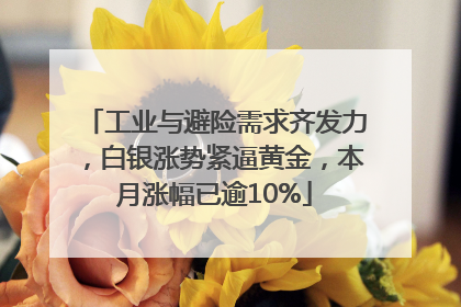 工业与避险需求齐发力，白银涨势紧逼黄金，本月涨幅已逾10%