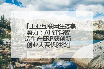 工业互联网生态新势力：AI 钉铛智造生产ERP获创新创业大赛优胜奖