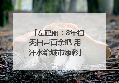 左建丽：8年扫秃扫帚百余把 用汗水给城市添彩