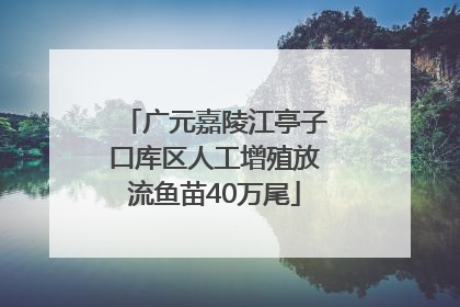 广元嘉陵江亭子口库区人工增殖放流鱼苗40万尾