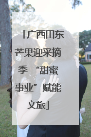 广西田东芒果迎采摘季 “甜蜜事业”赋能文旅